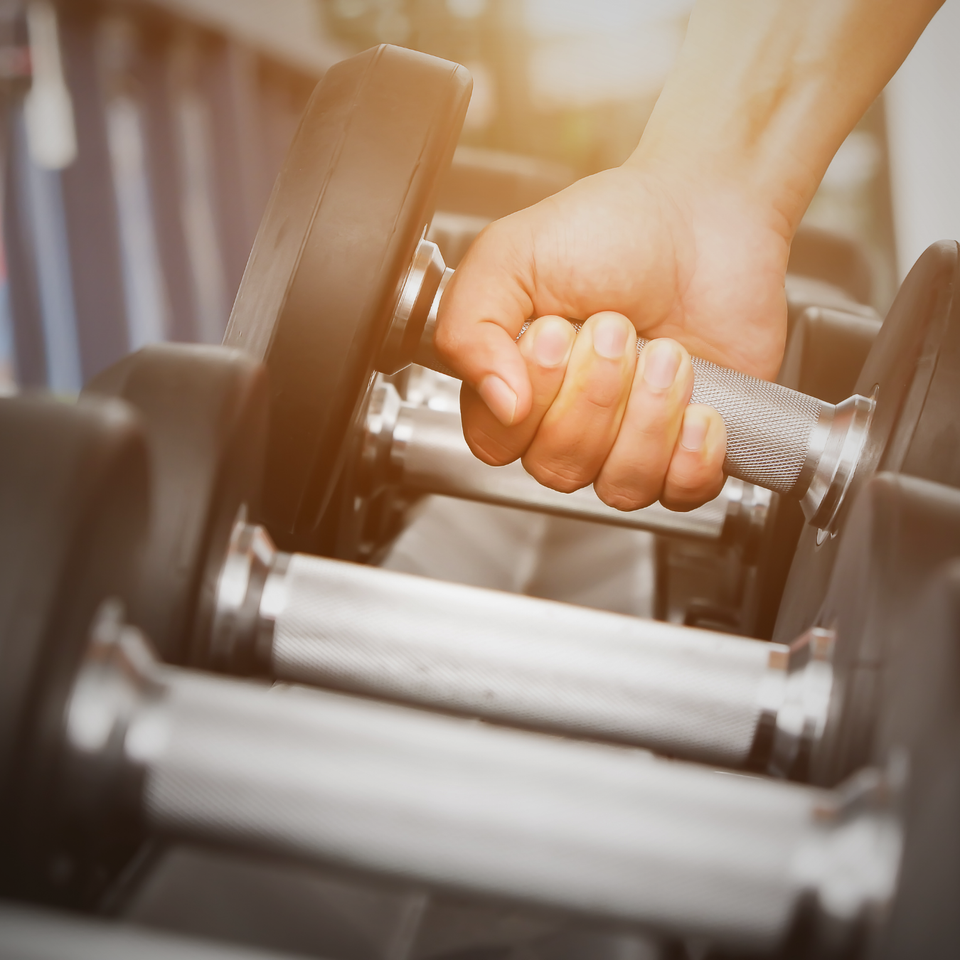 Fitness Equipment