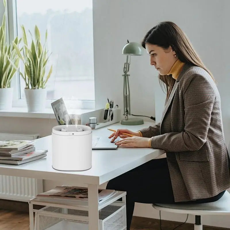 Large Room Humidifier Aromatherapy Diffuser Large Capacity Silent Air Purifier Double Spray Nozzle Personal Humidifier With