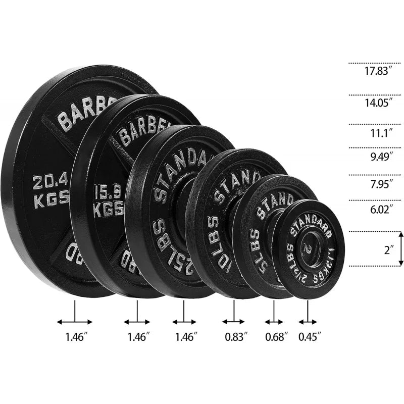 Fitness Cast Iron Plate Weight Plate for Strength Training and Weightlifting, or Standard, Multiple Sizes